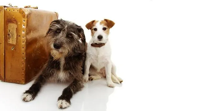 Hotel Ox Pasture Hall 4*