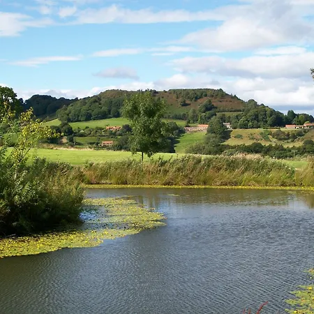 Отель Ox Pasture Hall 4*